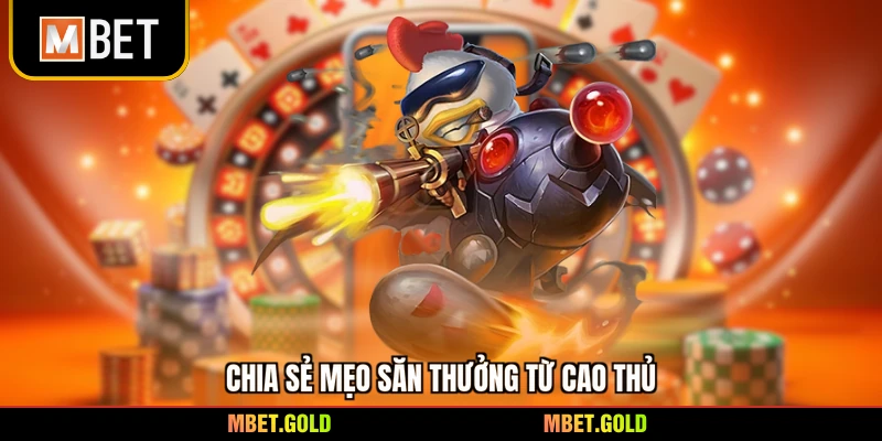 Chia sẻ mẹo săn thưởng từ cao thủ