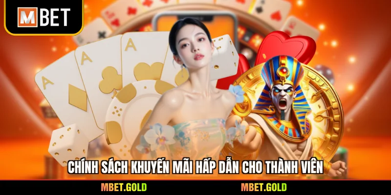 Chính sách khuyến mãi hấp dẫn cho thành viên