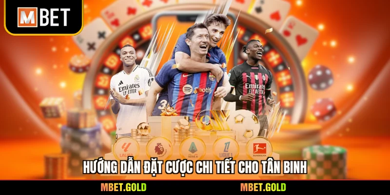 Hướng dẫn đặt cược chi tiết cho tân binh