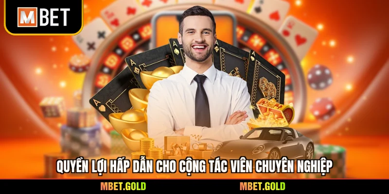 Quyền lợi hấp dẫn cho cộng tác viên chuyên nghiệp