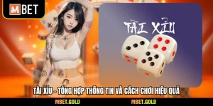 Tài Xỉu - Tổng Hợp Thông Tin Và Cách Chơi Hiệu Quả