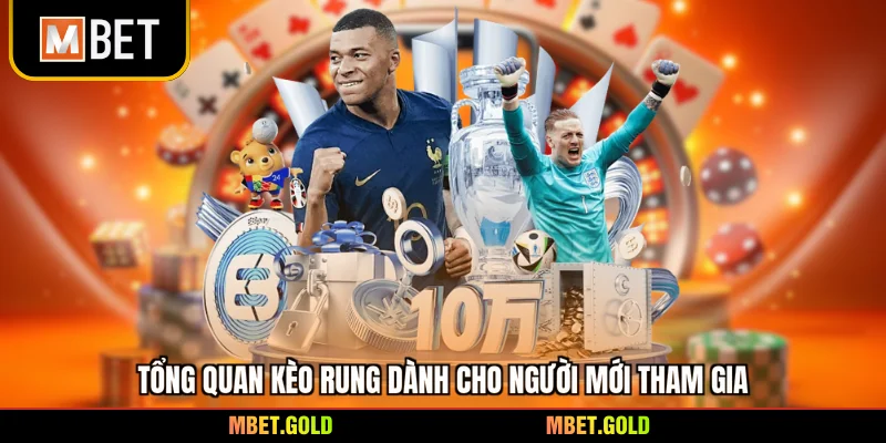 Tổng quan kèo rung dành cho người mới tham gia