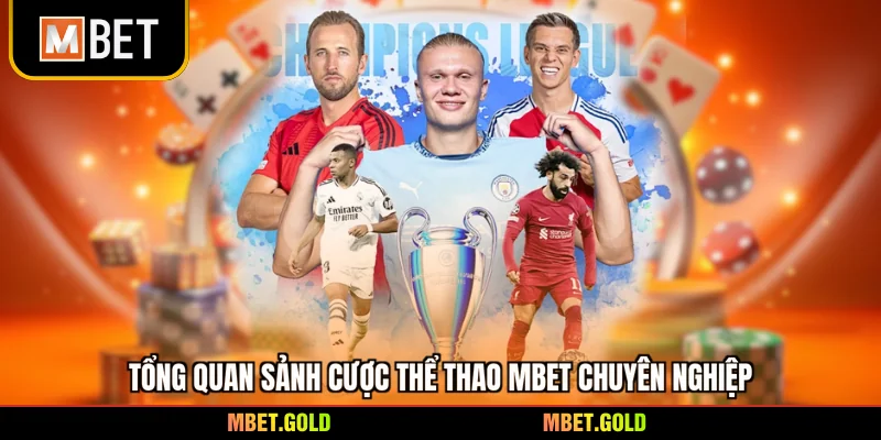 Tổng quan sảnh cược thể thao Mbet chuyên nghiệp