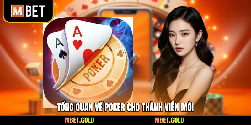 Tổng quan về Poker cho thành viên mới